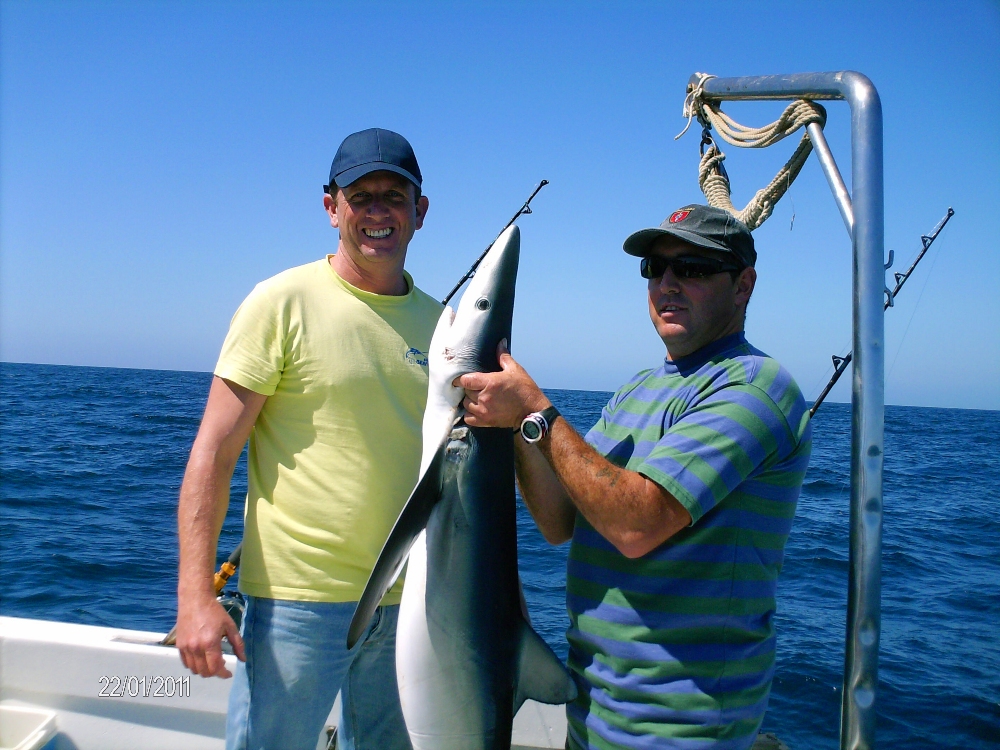 SHARK FISHING - Vilamoura Fishing Trips